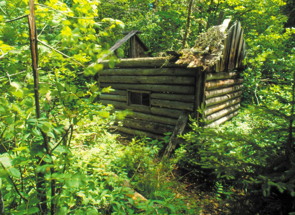 A photo of the trappers cabin at Cascade Falls. Photo credit: Layne Kennedy