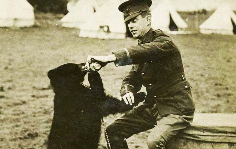 A photo of the real Winnie the Poo.